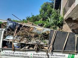 Best Electronics and E-Waste Disposal  in Hoback, WY